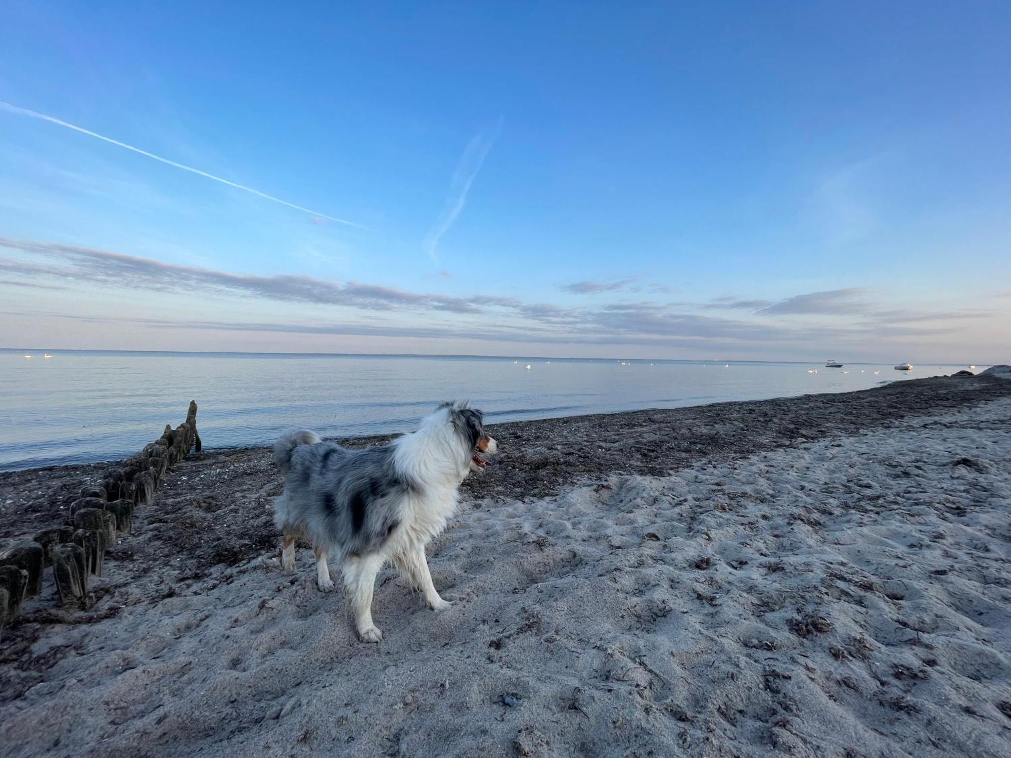 Die Luette Welle Grömitz Esterno foto